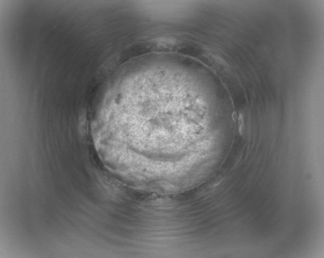 X0000068851395200605191939