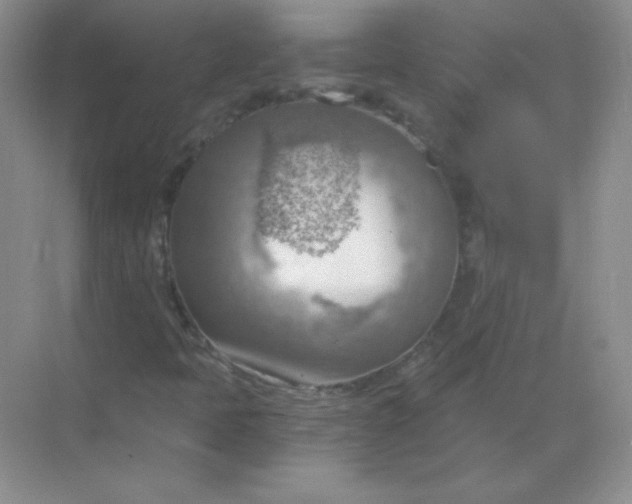 X0000068851397200605191939