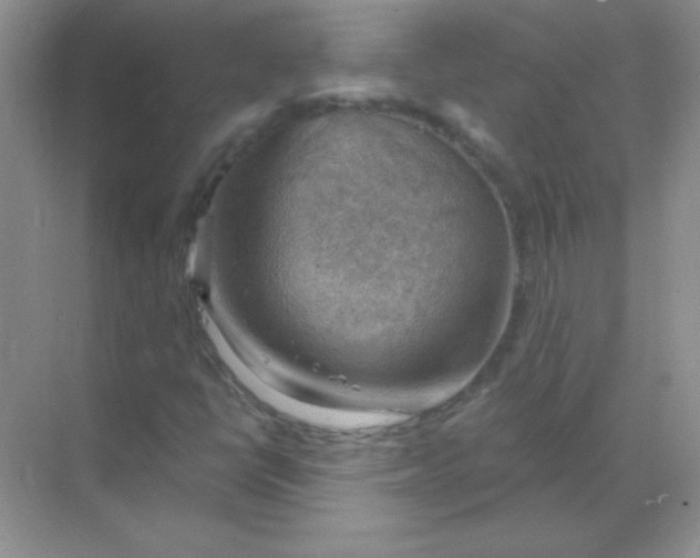 X0000068851398200605191939