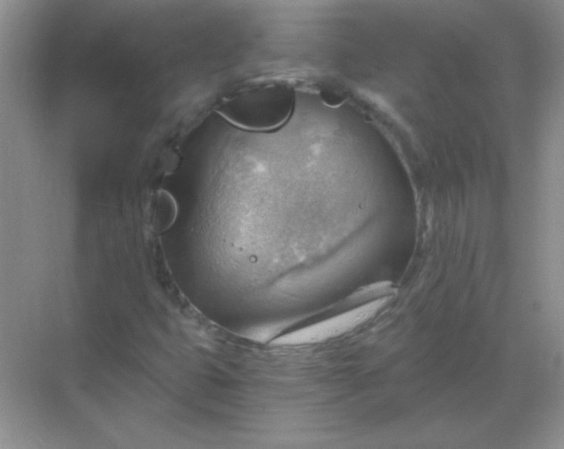 X0000068851399200605191939