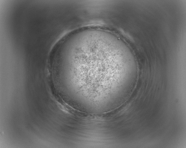 X0000068851400200605191939