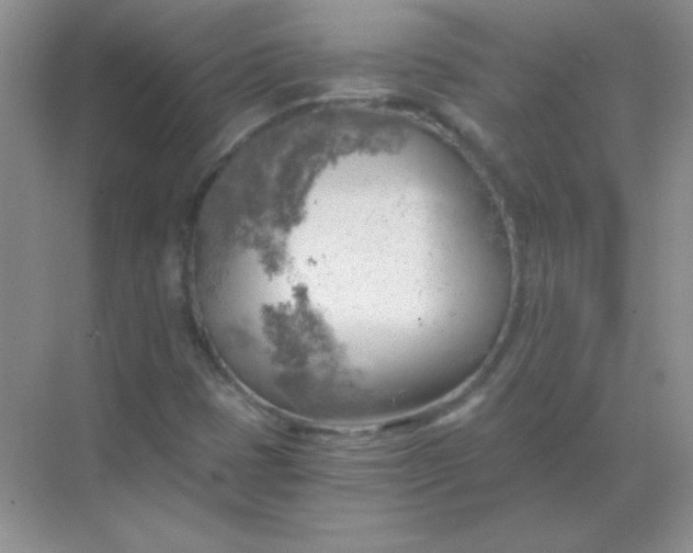 X0000068851401200605191939