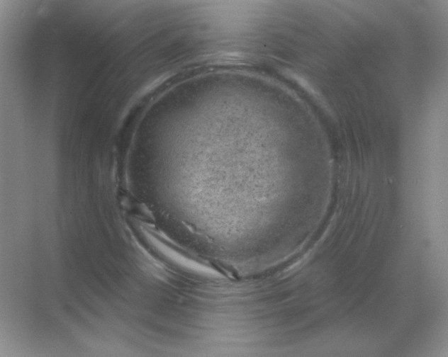 X0000068851402200605191939