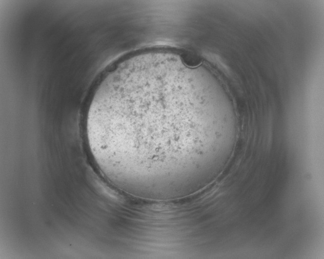 X0000068851404200605191939