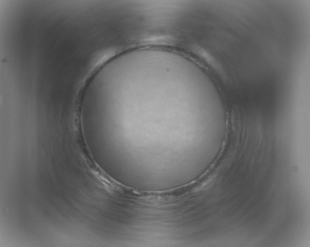 X0000068851405200605191939