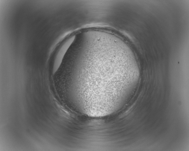 X0000068851406200605191939