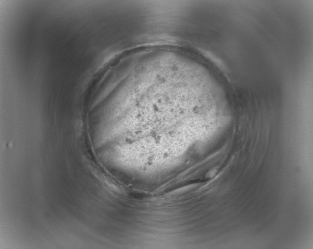 X0000068851407200605191939