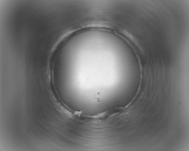 X0000068851408200605191939