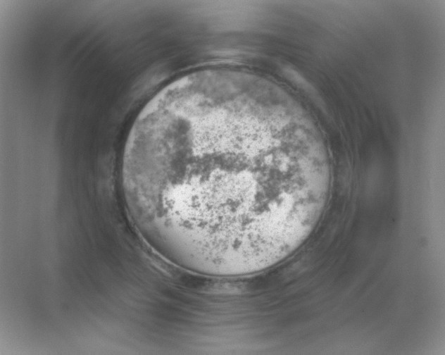 X0000068851411200605191939