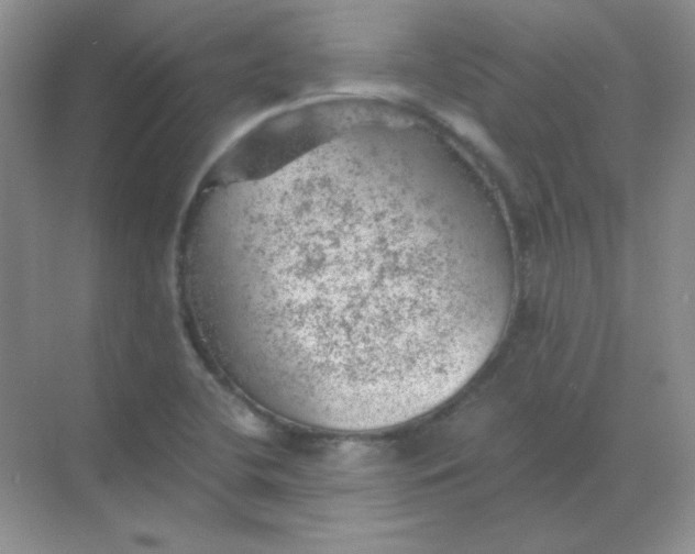 X0000068851412200605191939