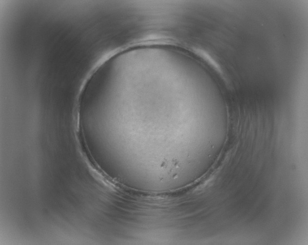 X0000068851413200605191939