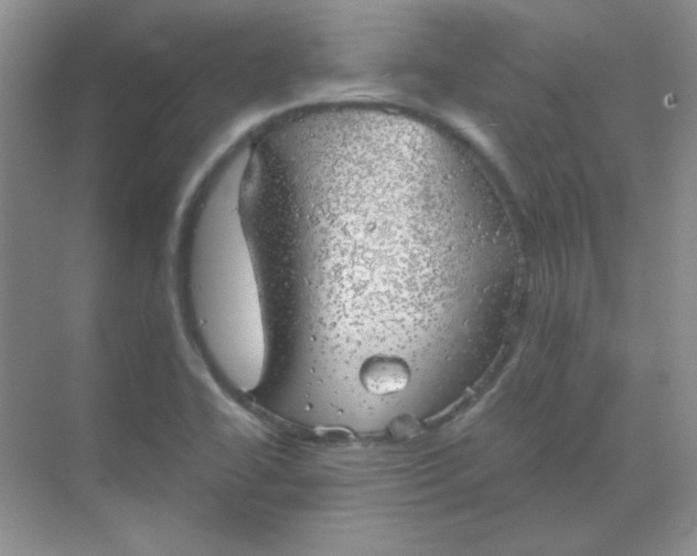 X0000068851414200605191939