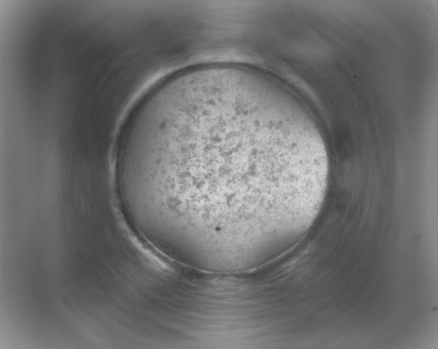 X0000068851416200605191939