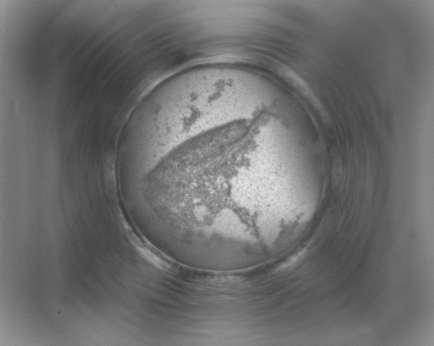 X0000068851417200605191939