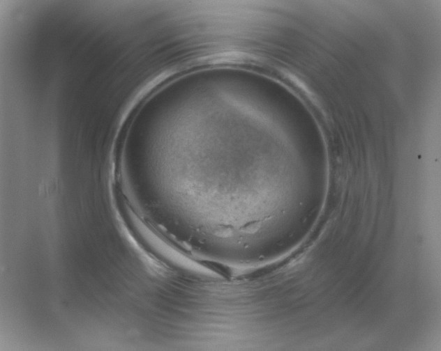 X0000068851418200605191939