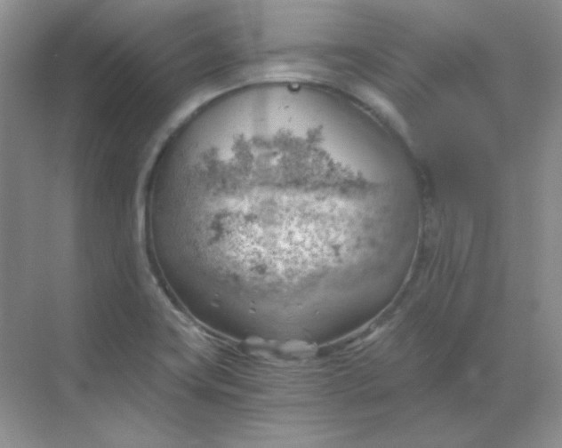 X0000068851419200605191939