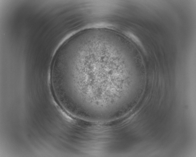 X0000068851420200605191939