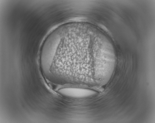 X0000068851421200605191940