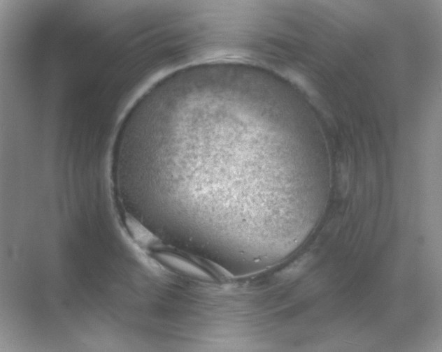 X0000068851422200605191940