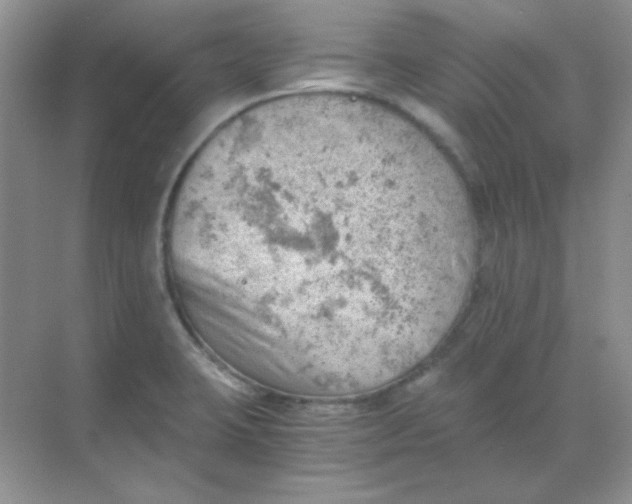 X0000068851423200605191940