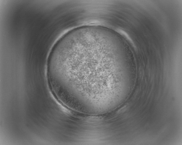 X0000068851424200605191940