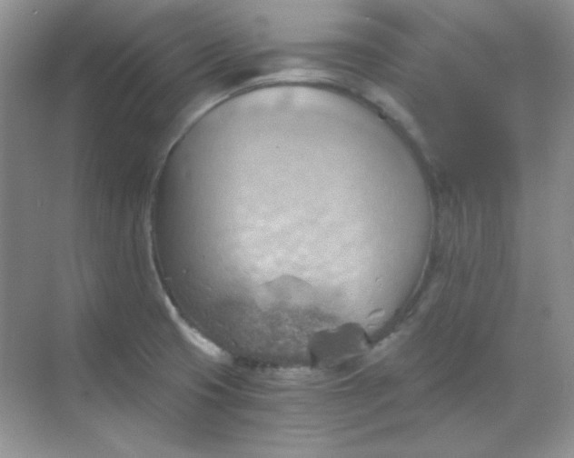 X0000068851425200605191940