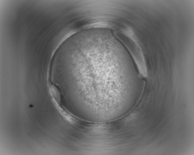 X0000068851426200605191940