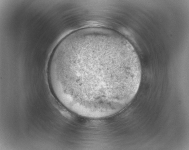 X0000068851427200605191940