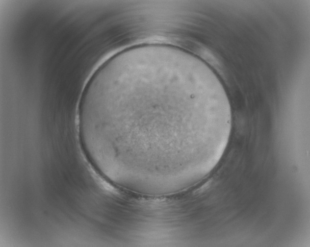 X0000068851428200605191940