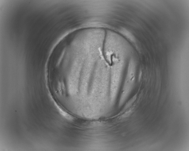 X0000068851430200605191940