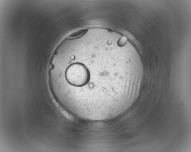 X0000068851431200605191940