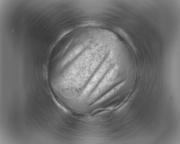 X0000068851433200605191940