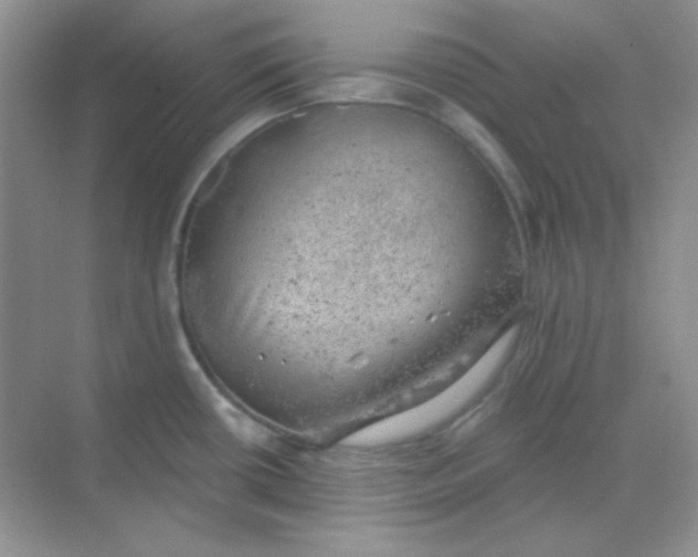 X0000068851434200605191940