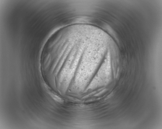 X0000068851435200605191940