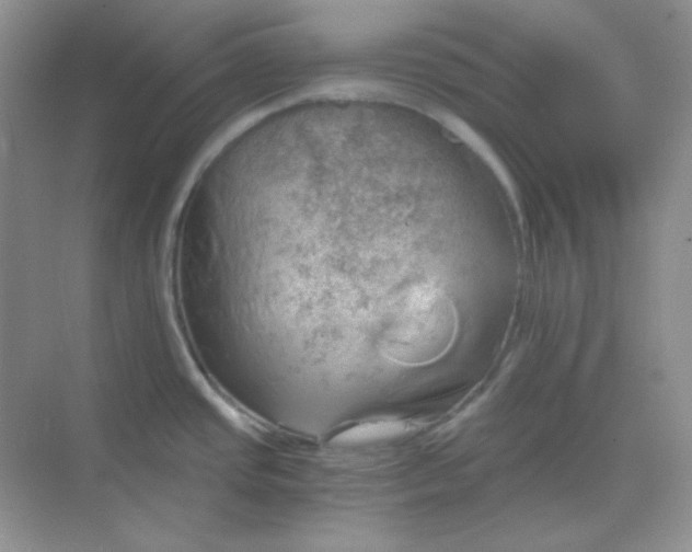 X0000068851437200605191940