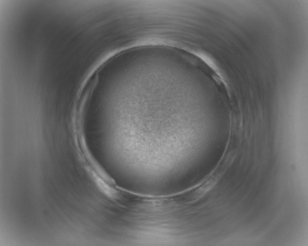 X0000068851438200605191940