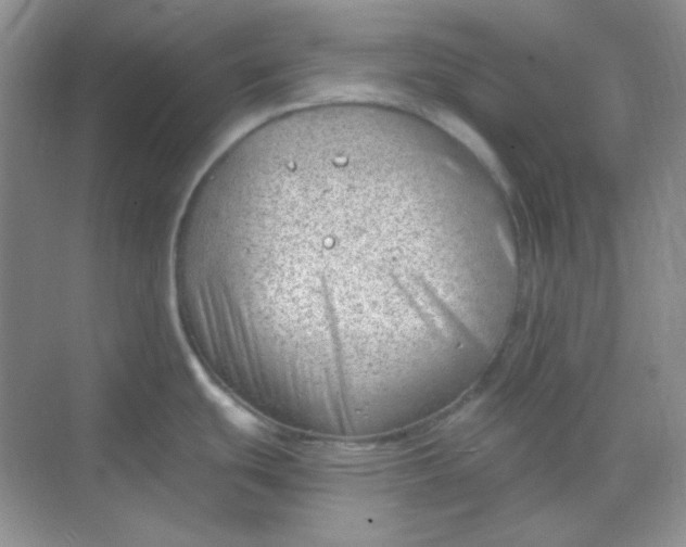 X0000068851439200605191940