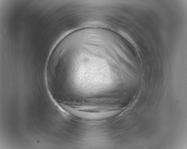 X0000068851440200605191940