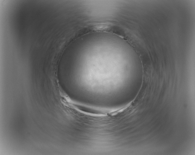 X0000068851441200605191939