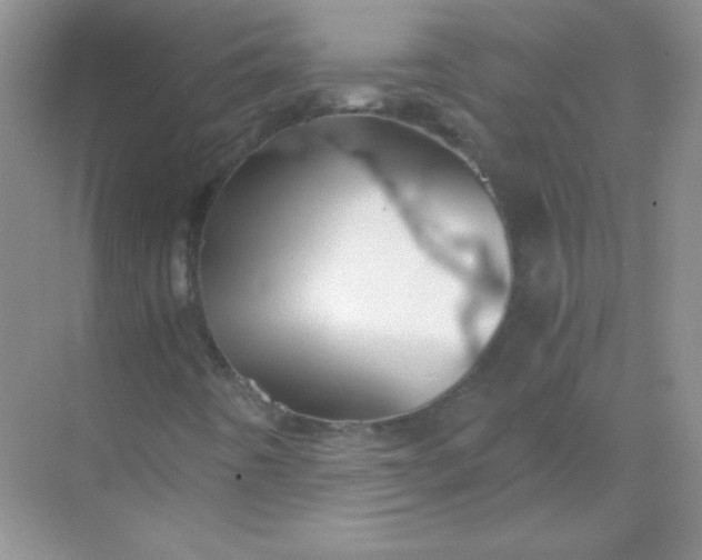 X0000068851442200605191939