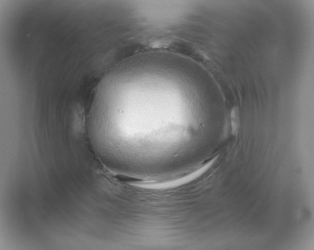 X0000068851443200605191939