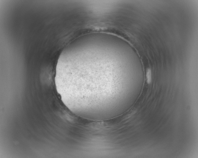 X0000068851444200605191939