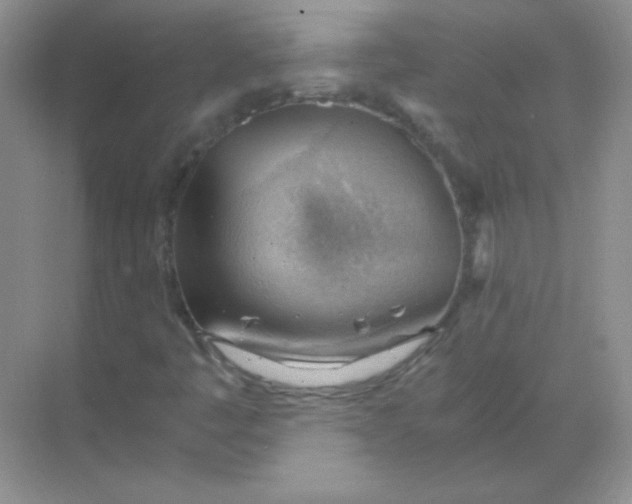 X0000068851445200605191939