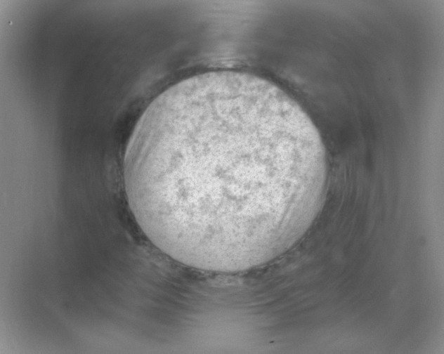 X0000068851446200605191939