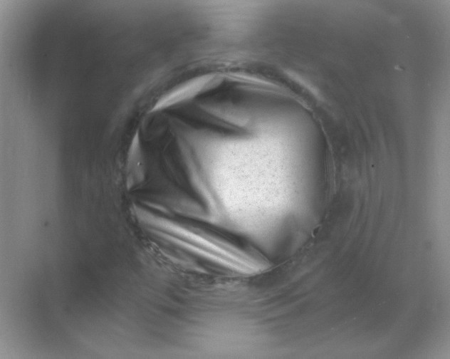 X0000068851447200605191939