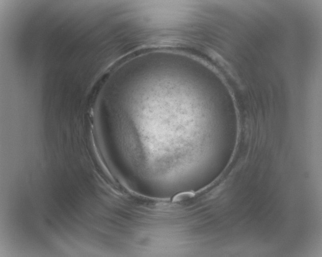 X0000068851449200605191939