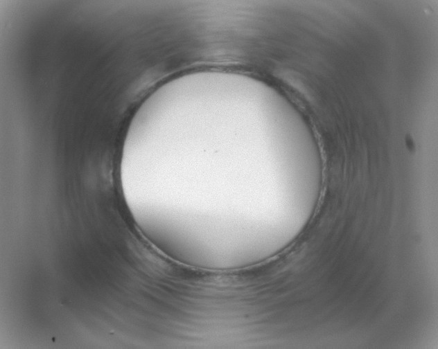 X0000068851451200605191939