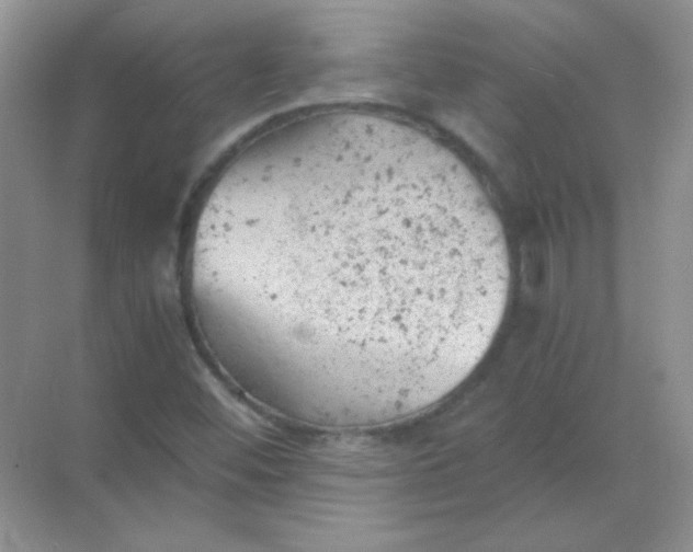 X0000068851452200605191939