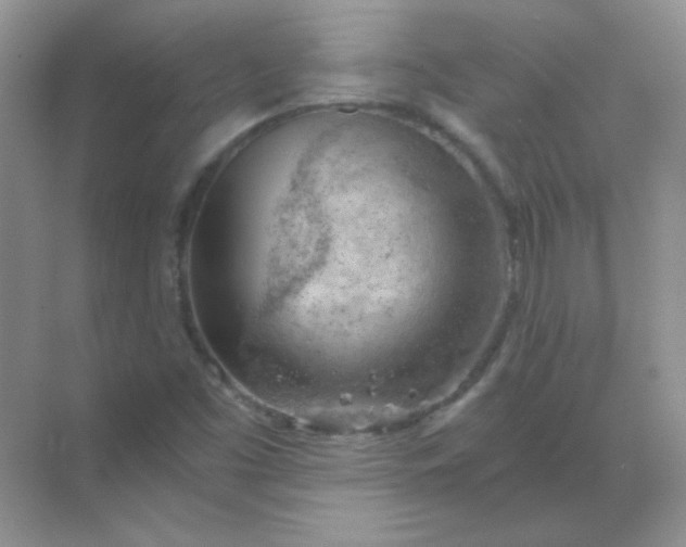 X0000068851453200605191939