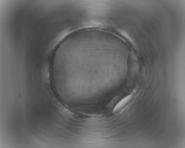 X0000068851455200605191939